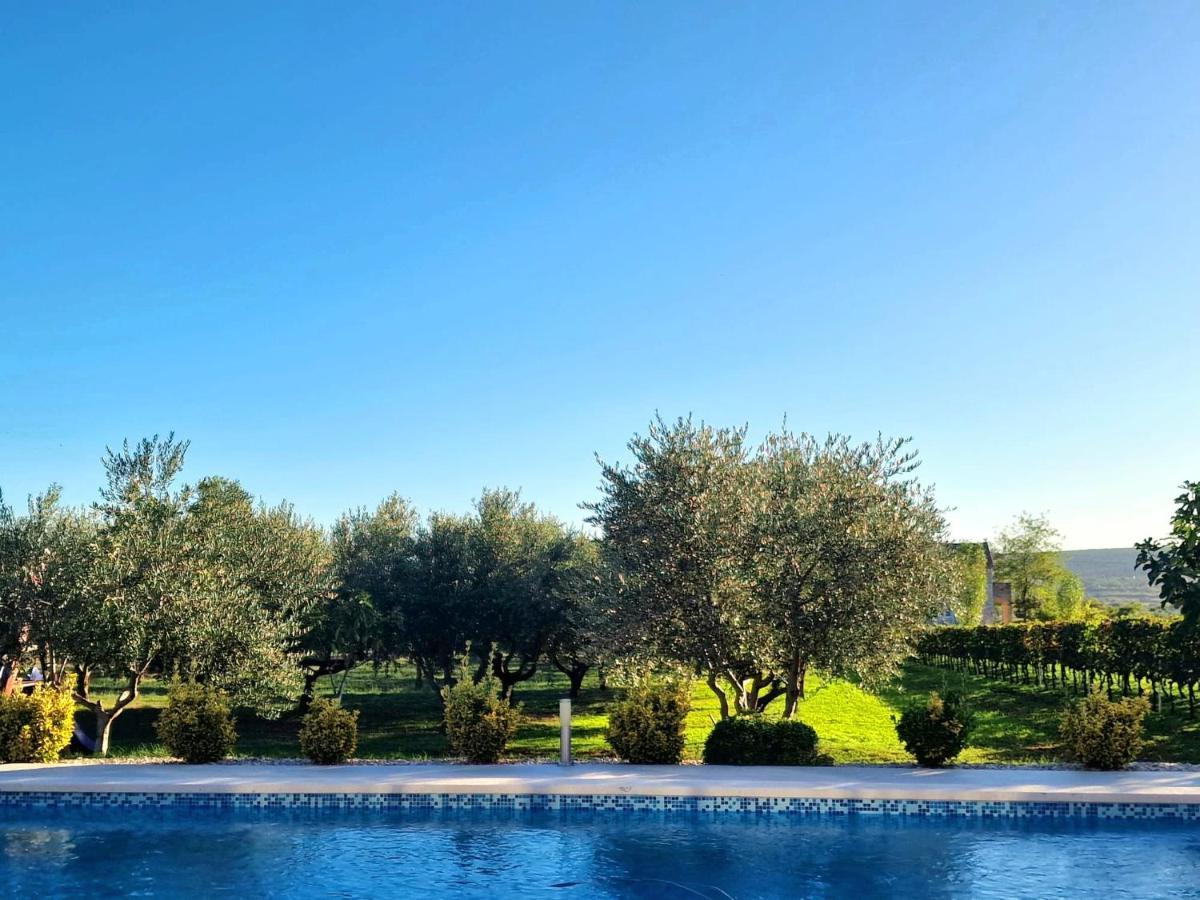 Villa Lorema-Pet Friendly On 5000 Sqm Garden,Pool, Jacuzzi, Billiard&Ps5 Sveti Filip i Jakov Kültér fotó